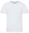 Arctic White