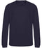 New French Navy