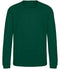 Rainforest Green