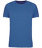 Light Royal Blue