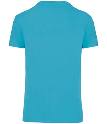 Sea Turquoise