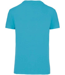 Sea Turquoise