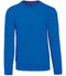 Light Royal Blue
