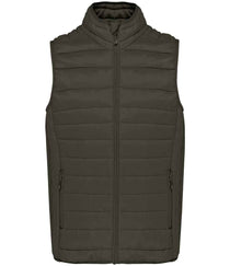 Dark Khaki
