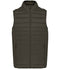 Dark Khaki