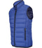 Light Royal Blue