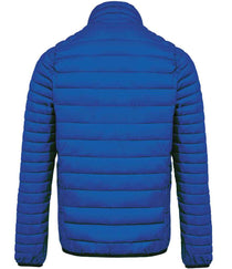 Light Royal Blue