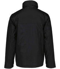 Black/Black