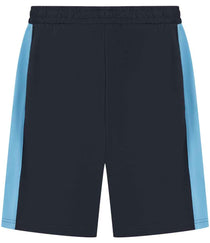 Navy/Sky blue