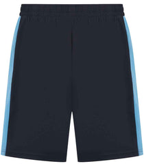 Navy/Sky blue