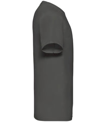 Light Graphite