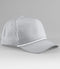 Light Grey/White