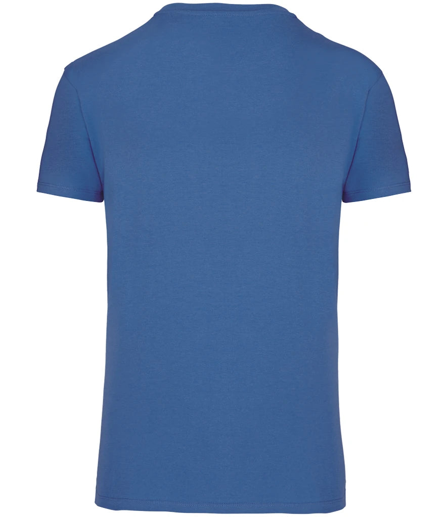 Light Royal Blue