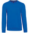 Light Royal Blue