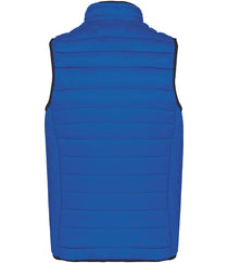 Light Royal Blue