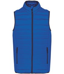 Light Royal Blue