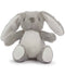 Grey Bunny