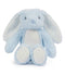Blue Bunny