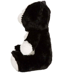 Black/White Cat