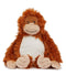 Orangutan