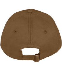Dark Camel