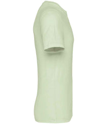Celadon Green