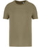 Light Olive Green