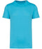 Light Turquoise