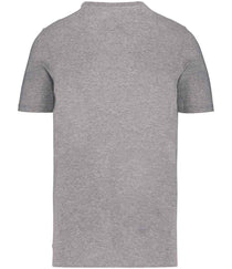 Moon Grey Heather