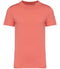 Light Coral