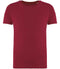 Hibiscus Red