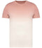 Dip Dye Petal Rose