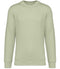 Celadon Green