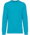 Light Turquoise