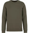 Organic Khaki