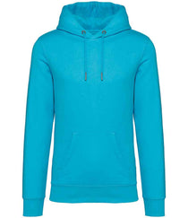 Light Turquoise