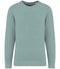 Washed Jade Green