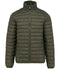 Organic Khaki