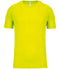 Fluorescent Yellow