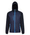 Navy/French Blue