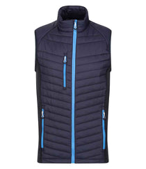 Navy/French Blue