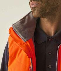Orange/Grey