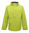 Keylime/Seal Grey