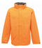 Sun Orange/Seal Grey