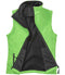 Vivid Green/Black