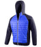 Royal Blue/Navy