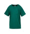 Bottle Green