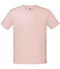 Powder Rose
