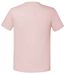 Powder Rose