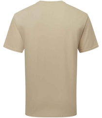 Desert Sand